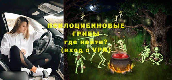 соль ск Осташков